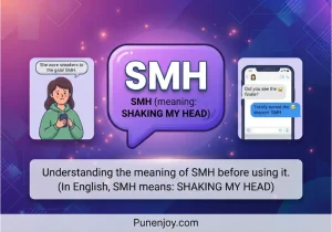 what does ion mean texting